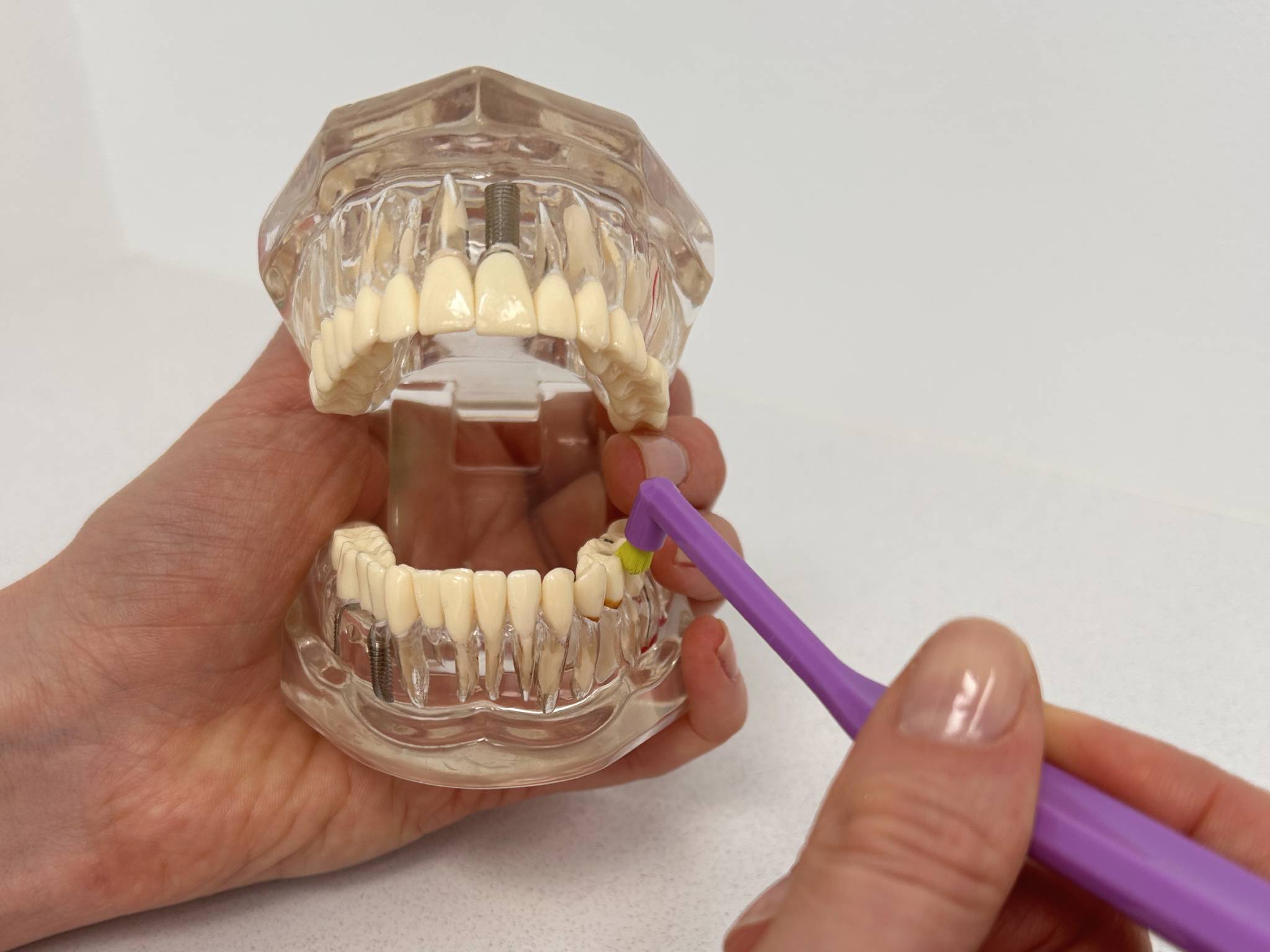 Tím zubných lekárov a dentálnych hygieničiek v modernej stomatologickej ambulancii